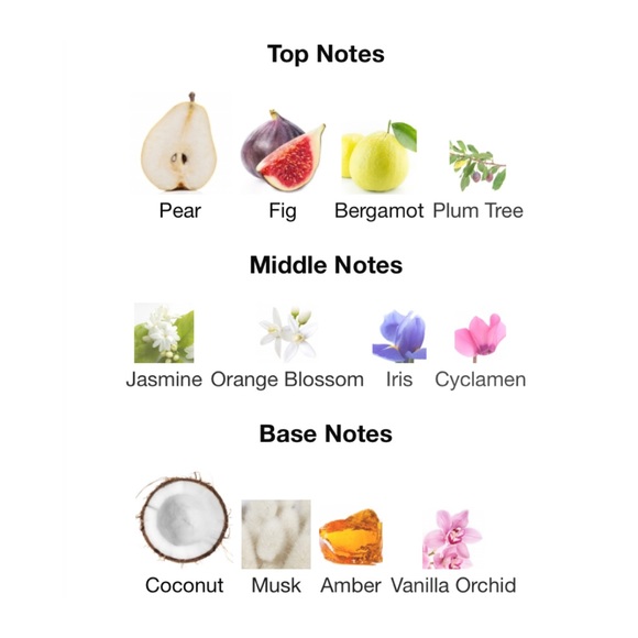 ELLIS BROOKLYN Sunfruit Eau de Parfum Rollerball - .17 fl oz NIB - Picture 3 of 5